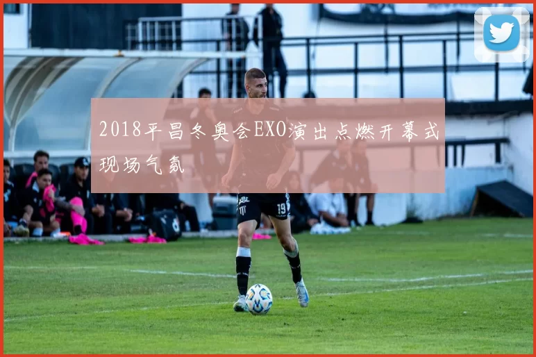 2018平昌冬奥会EXO演出点燃开幕式现场气氛