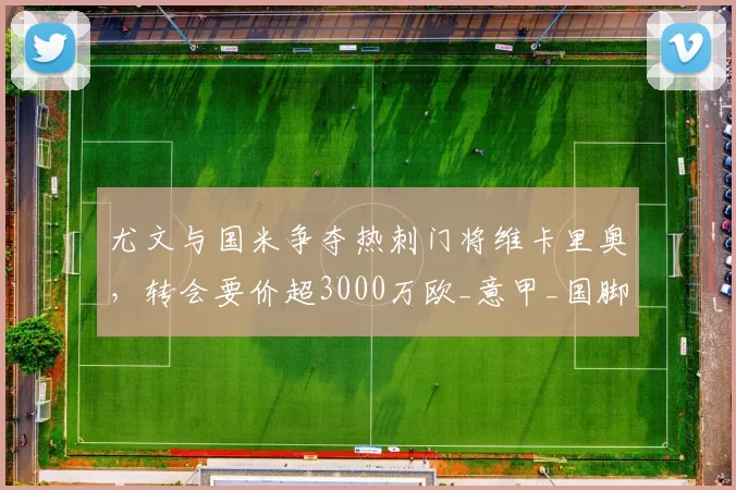 尤文与国米争夺热刺门将维卡里奥，转会要价超3000万欧_意甲_国脚_意大利