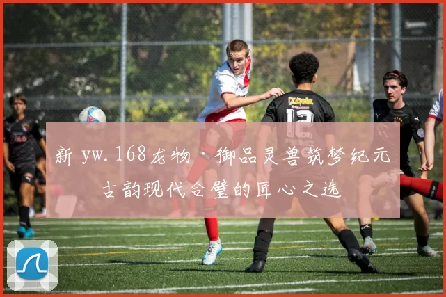 新 yw.168龙物·御品灵兽筑梦纪元，古韵现代合璧的匠心之选